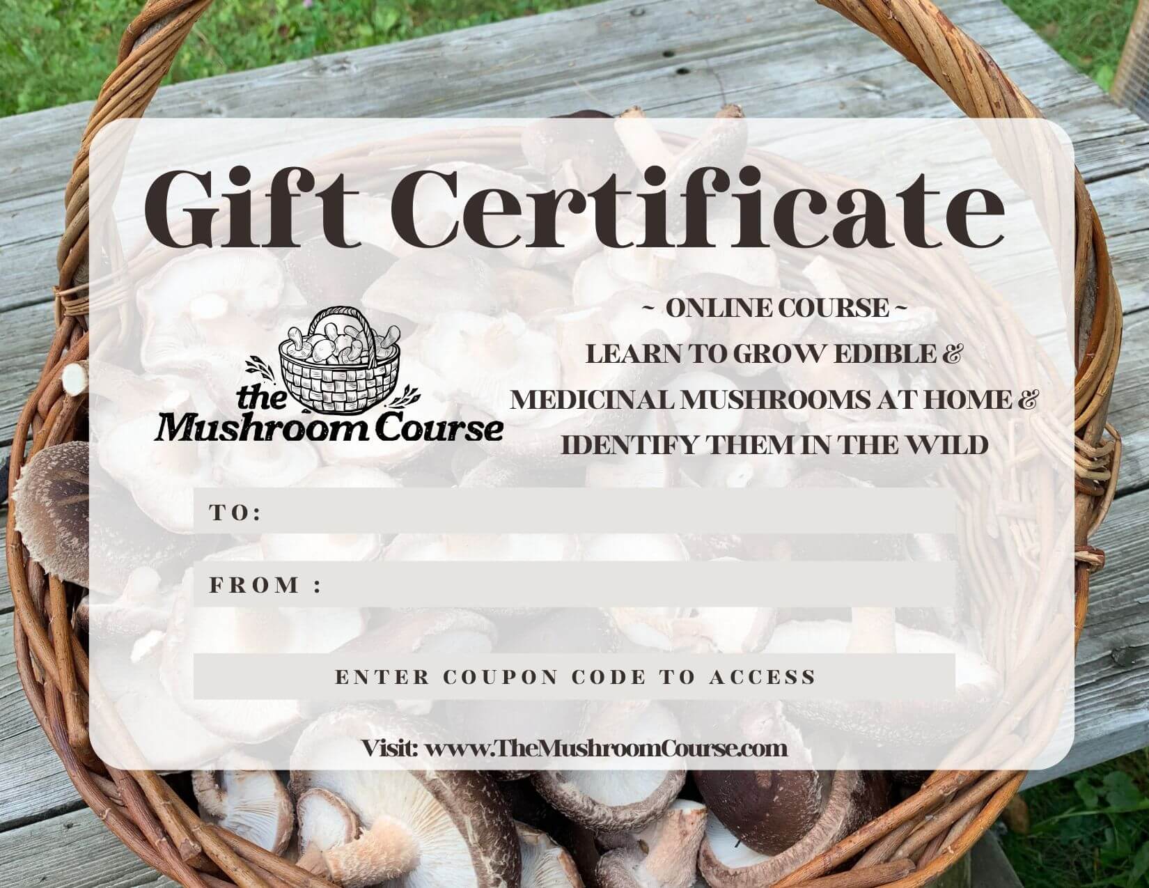 Mushroom Course Gift Certificate